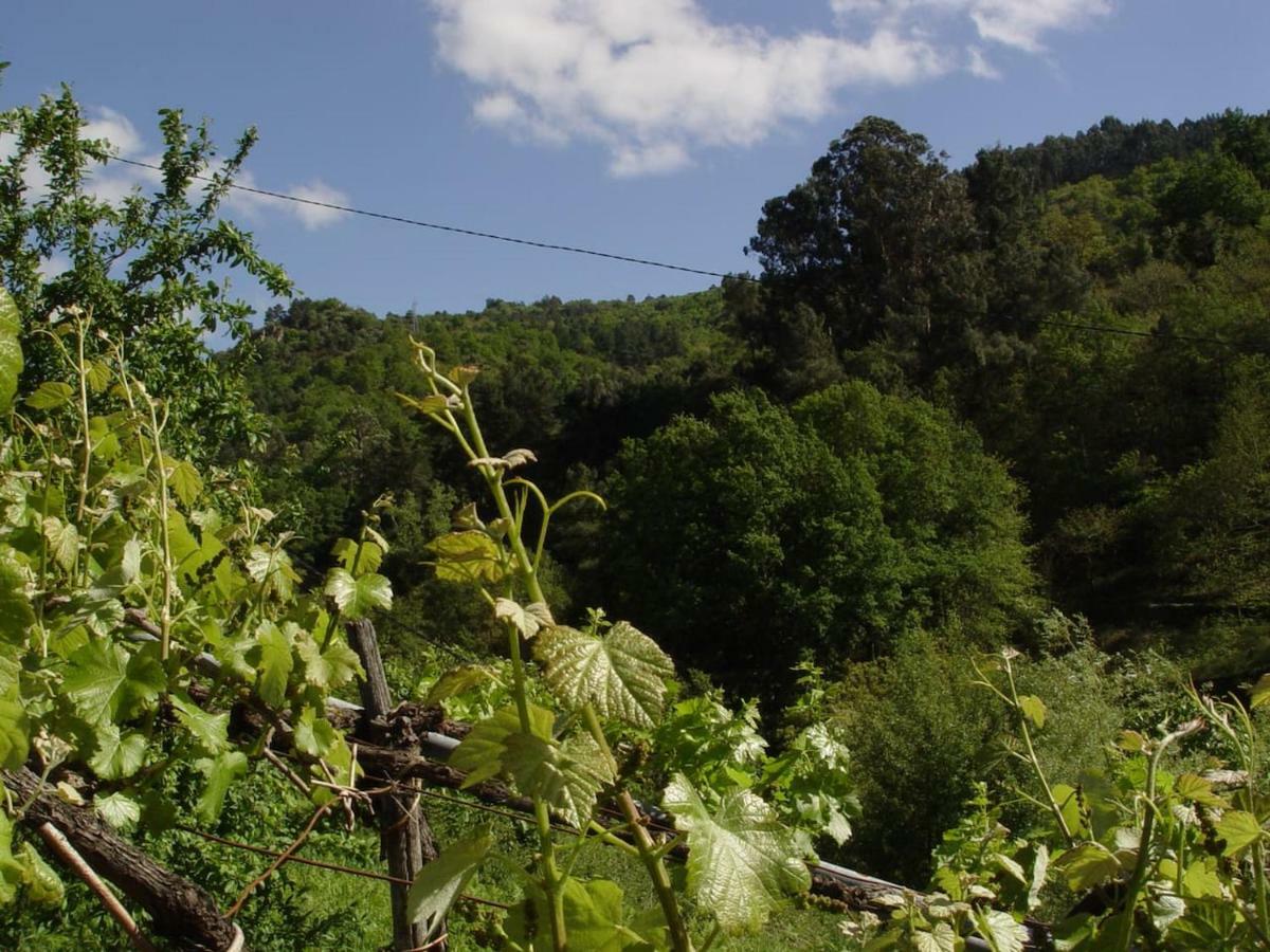 Casa En Vinoas Villa Eksteriør bilde